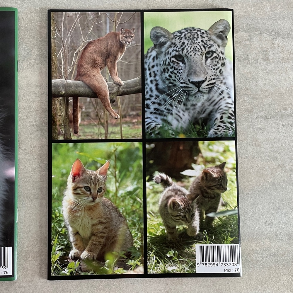 Editions Adonalia Le Loup & Les Félins livret de zoo animaux enfants - Picture 5 of 9